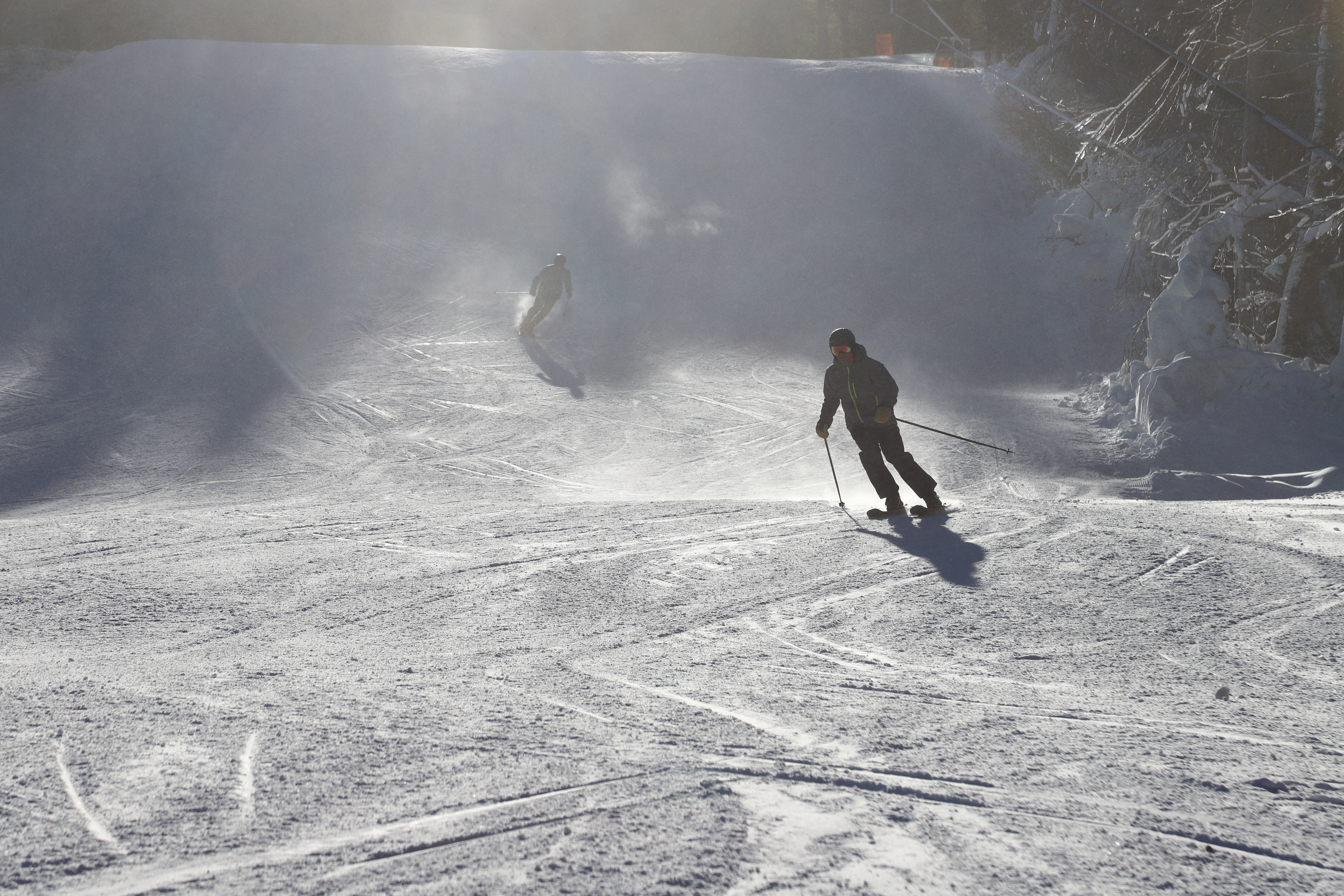 are dogs allowed at wachusett mountain