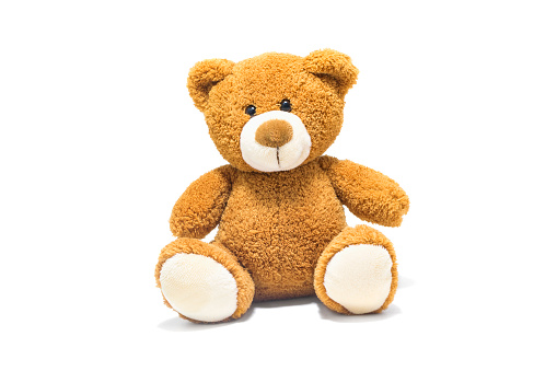 Brown Teddy Bear Isolated In Front Of A White Background.